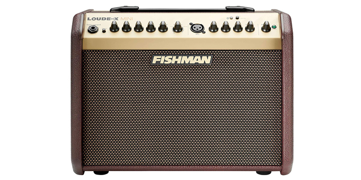 Best Amps for Acoustic Guitars